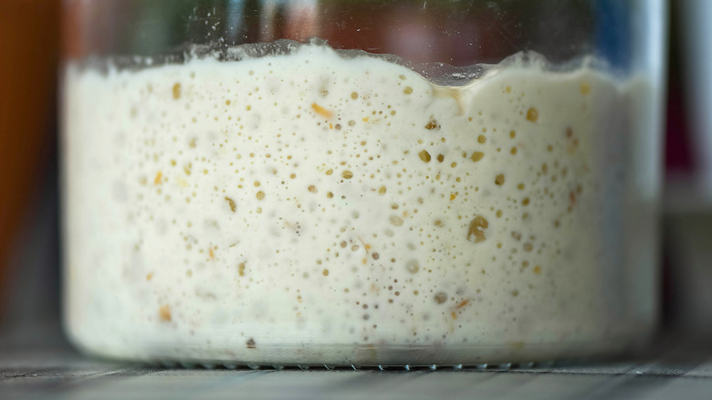 A close up of a sourdough starter inside a jar.