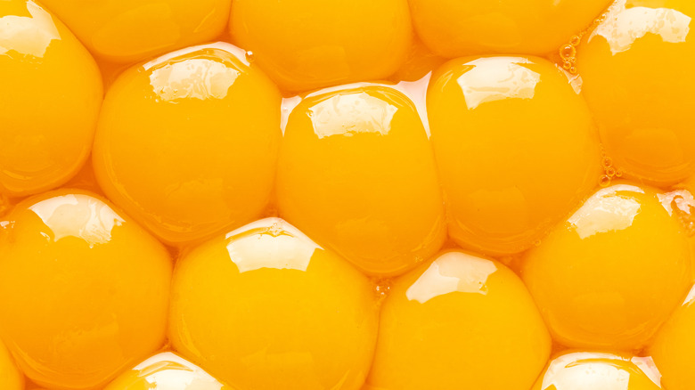 overhead shot of egg yolks