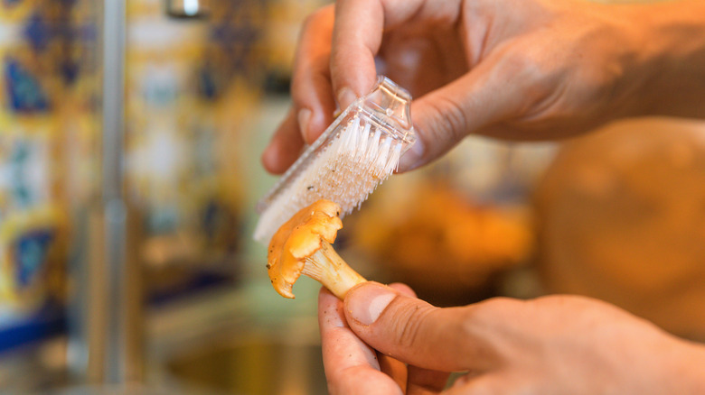 Hands cleaning a mushroom with a small brush