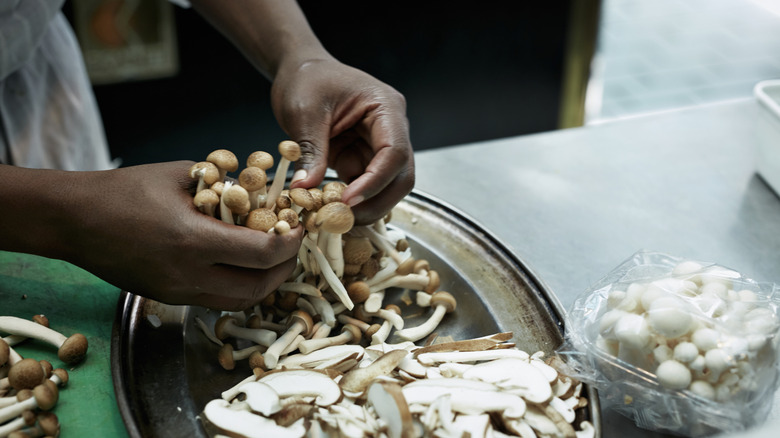 Hands working with long mushrooms