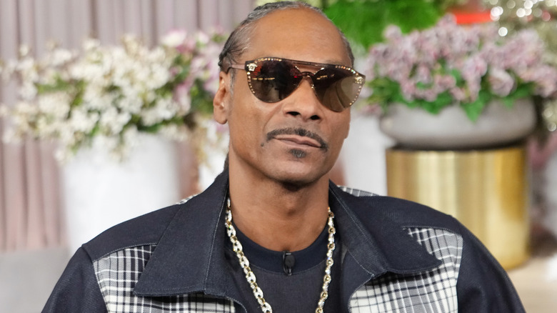 Snoop Dog wearing sunglasses and looking into the camera on a TV set