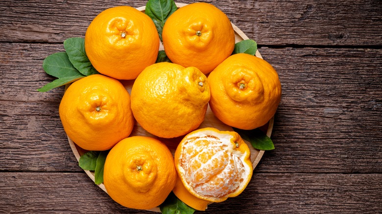 sumo oranges on plate