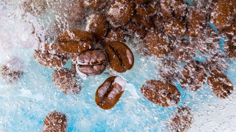 Coffee beans frozen in water