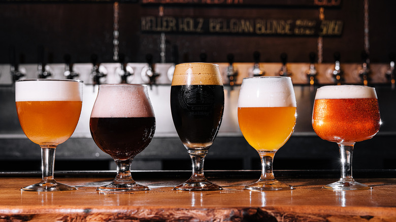 Five samples of lagers and ales in varying glasses