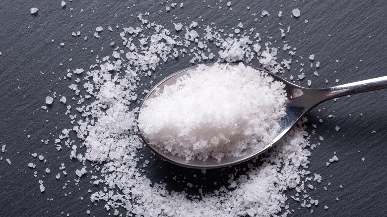 kosher salt in a spoon