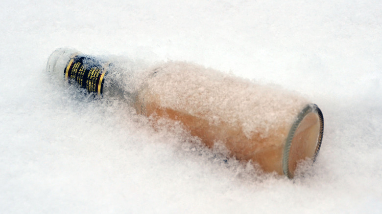 A frozen bottle of beer lying in icy snow