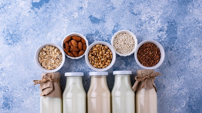 Different plant-milk varieties in glass bottles with base above them