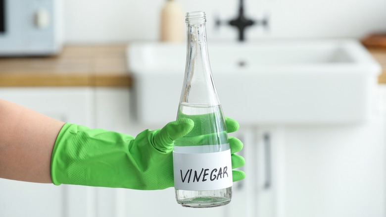 gloved hand holding vinegar