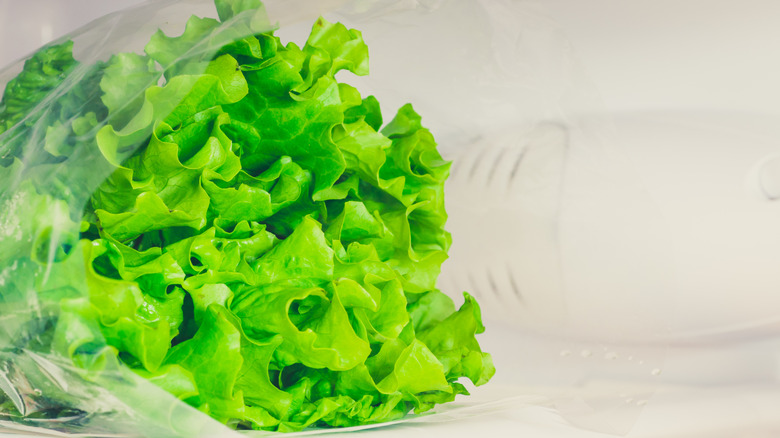 plastic bag of lettuce