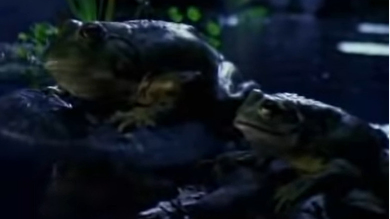 Two Budweiser frogs