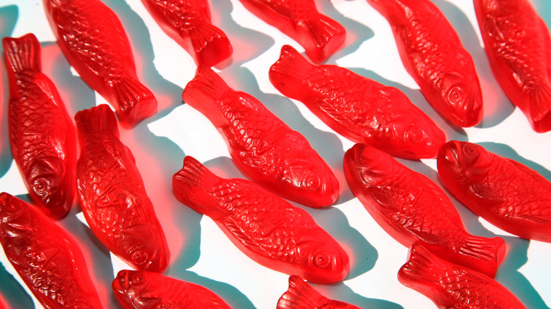 Close-up of red fish gummy candy