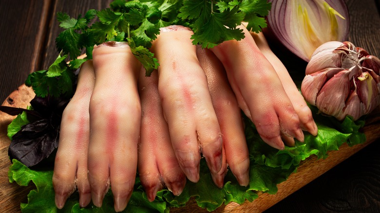 Pig feet, or pig trotters, surrounded by greens and aromatics on a cutting board