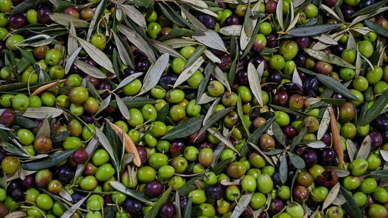 Green and black olives together