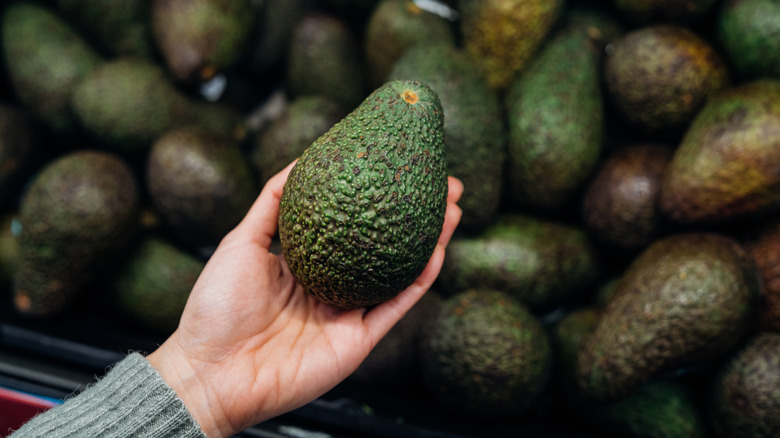 Woman holding an avocado in her hand against a blurred background of avocados