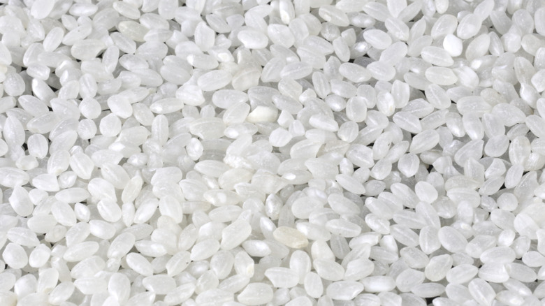 A close up shot of uncooked short grain rice