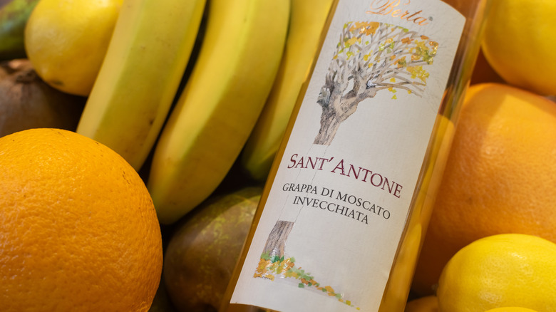 A bottle of Sant Antone grappa, resting on a pile of fruit.