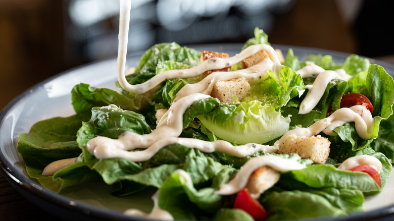 Creamy dressing on green salad with croutons and tomatoes