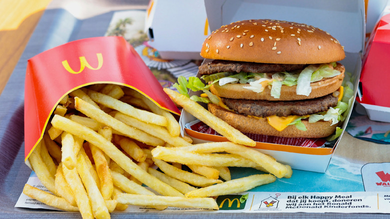 McDonald's Big Mac and fries on a tray