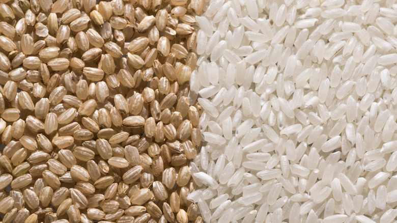 Raw white and brown rice arrange side by side