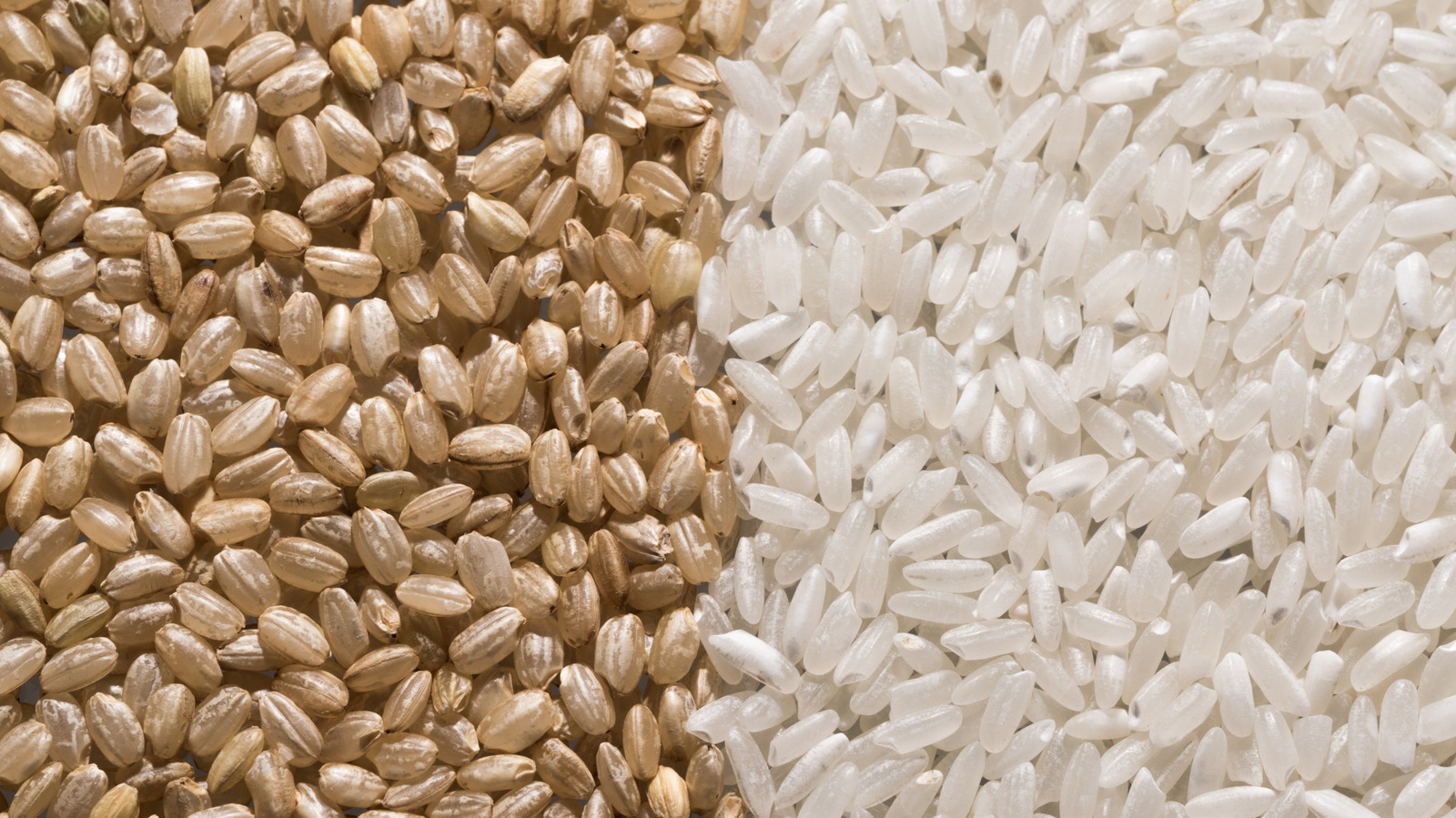 White Vs Brown Rice: Which Is Actually Better For You?