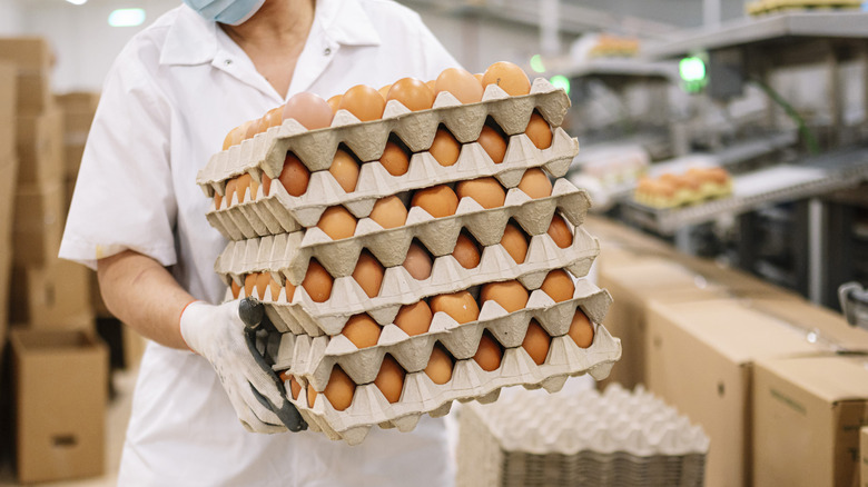 A factory worker carrying cartons of eggs