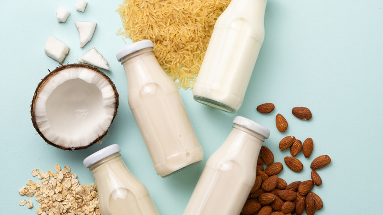 Alternative milks such as rice milk, coconut milk, oat milk, and almond milk are displayed with their source ingredients.