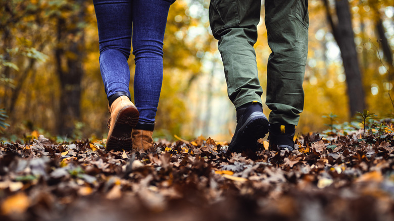 Senior couple walking in the woods