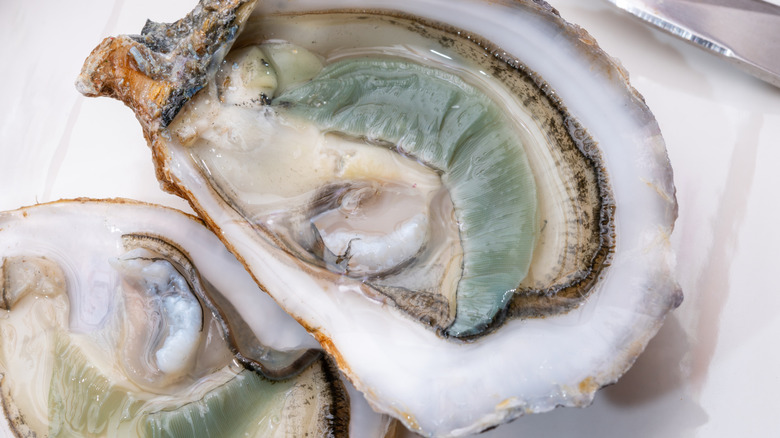 Raw emerald oysters, a French delicacy