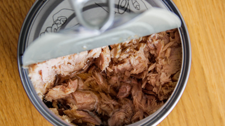 A half-opened can of tuna is shown with tuna inside