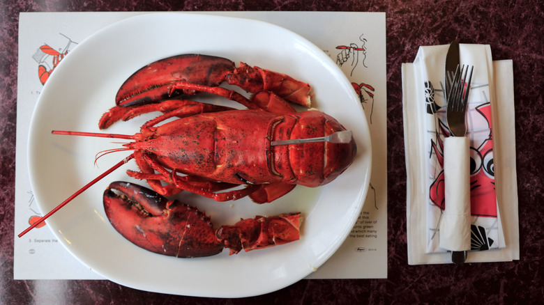 lobster on white plate