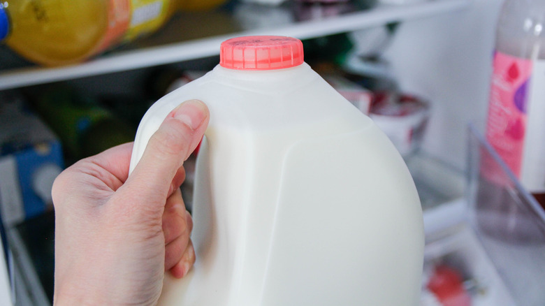 milk jug in fridge