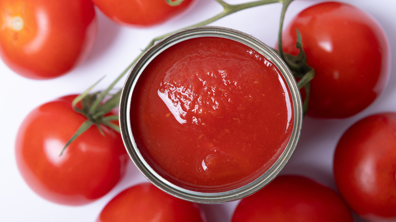 Canned tomato sauce surrounded by fresh tomatoes