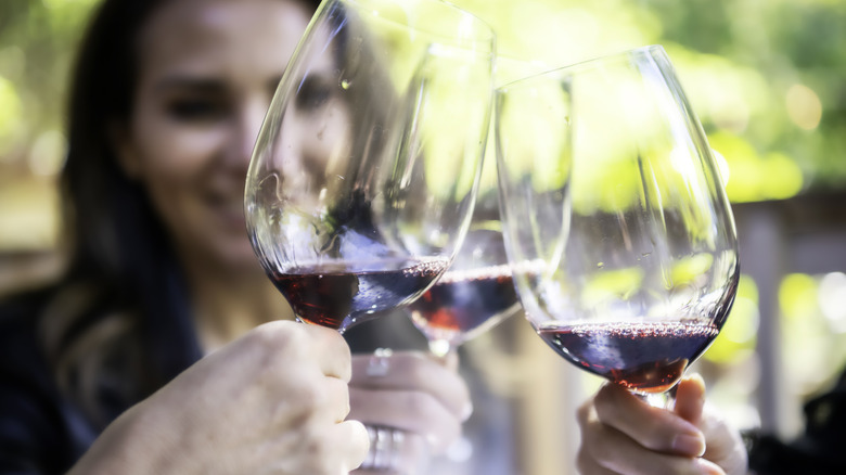 People toasting with their wine glasses.