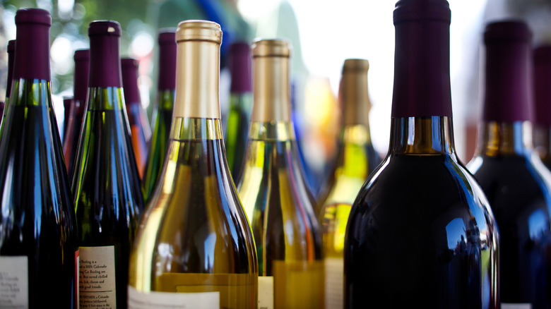 A selection of red and white wine bottles