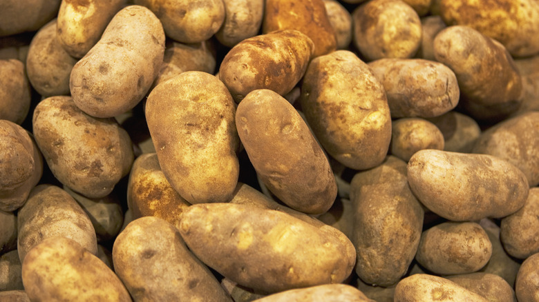 Pile of russet potatoes