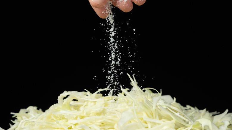 A person sprinkling salt on shredded cabbage.