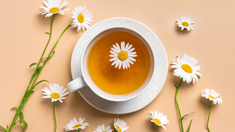 Chamomile tea with the flowers around and inside the cup