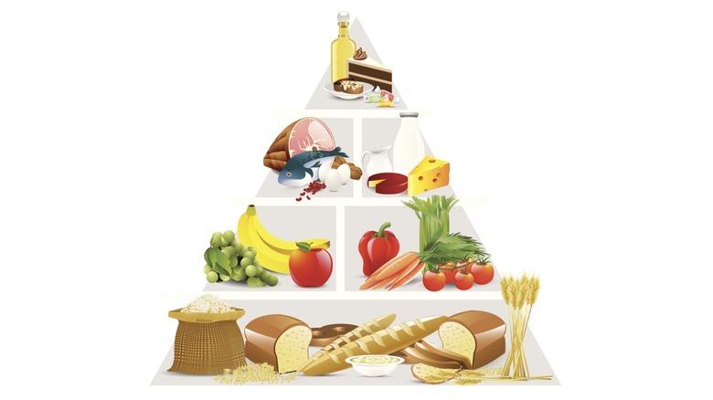 Food Pyramid illustration against a white background