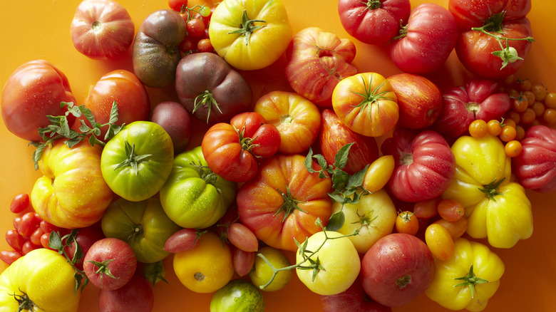 Tomatoes of different colors and sizes on an orange background.