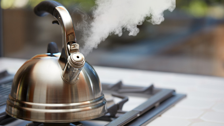 Steaming tea kettle on stove top