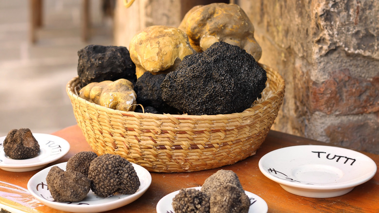 Basket of various fresh truffles, with individual plates