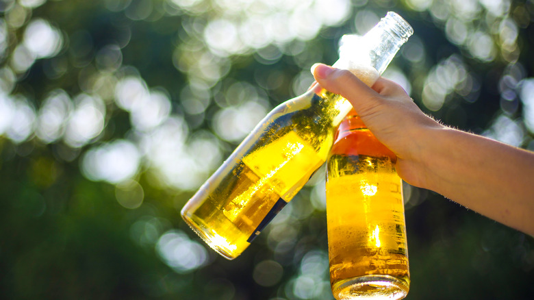 A hand holding two open bottles of beer outside as the sun shines down on them