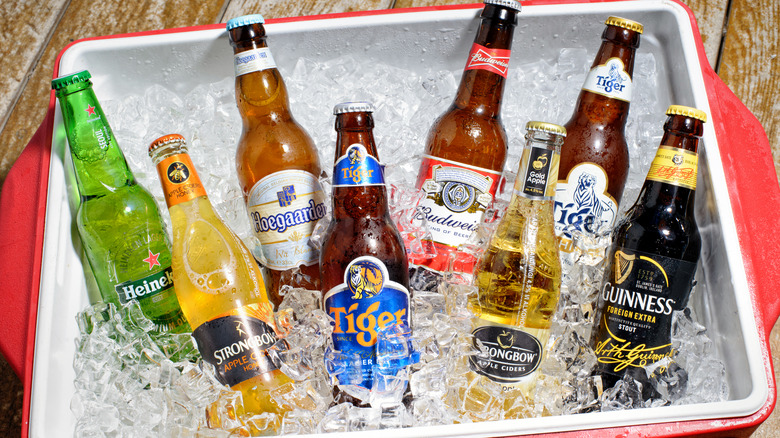 An assortment of beer bottles chilling on ice in a red cooler