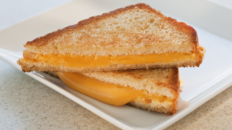 A grilled cheese sandwich on a white plate on a kitchen counter