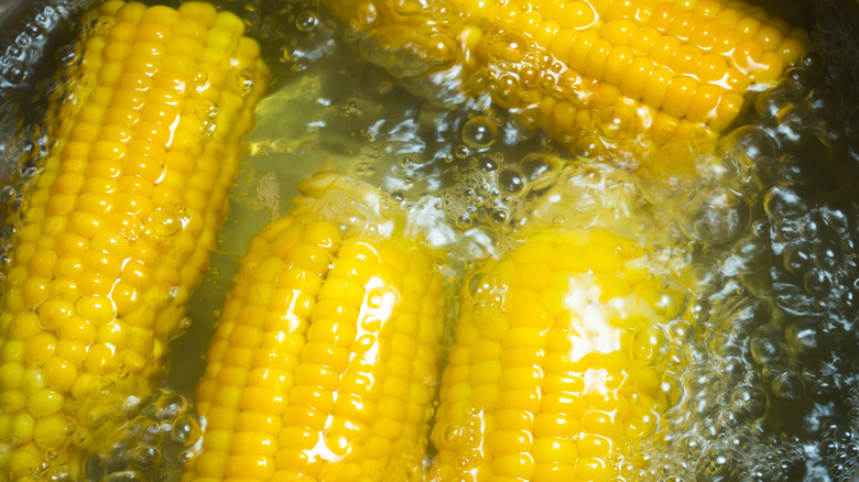 Corn on the cob cooking in a pan of hot water