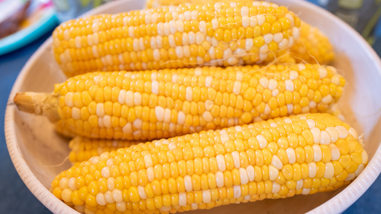 Three ears of corn in a white dish