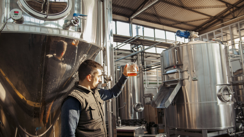 The interior of a brewery and a worker holding a beer sample