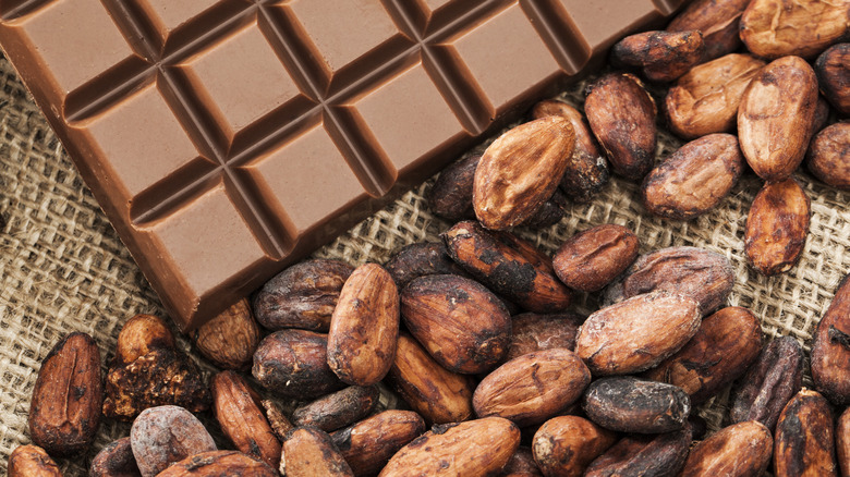 Chocolate bar next to cacao beans on a burlap bag