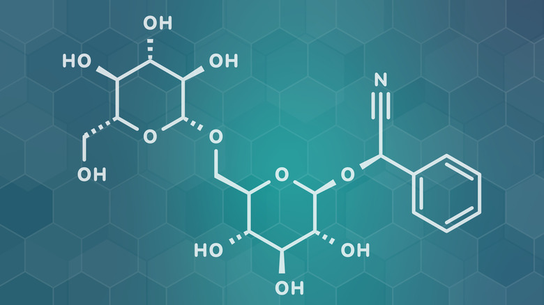 Cyanide precursor amygdalin formula