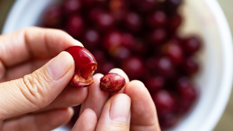 The dangers of cherry pits exposed